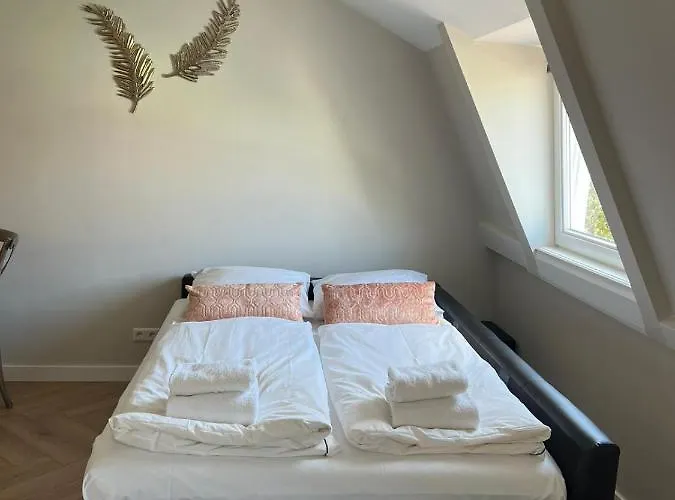 Apartment Pure Center B