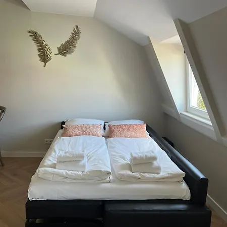 Apartman Pure Center B